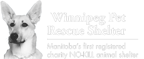 Winnipeg Pet Rescue Shelter